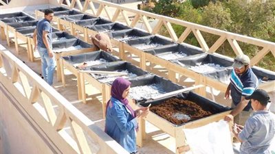 «البيئة» تبدأ تنفيذ مبادرة زراعة الأسطح بـ«بيت القاهرة»