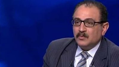 أستاذ للعلوم السياسية بالجامعة الأمريكية :المفوضية الدولية لحقوق الإنسان مُتربصة بمصر