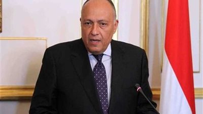 وزير الخارجية يؤكد حرص مصر على استقرار دولة جنوب السودان