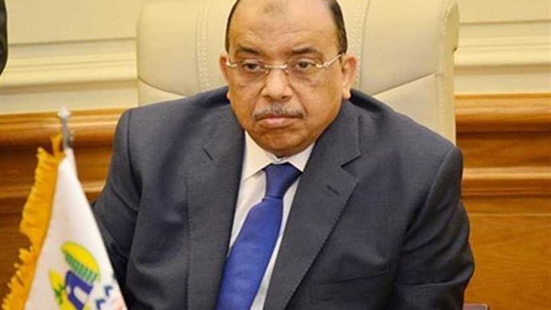 شعراوي: الحكومة تسير