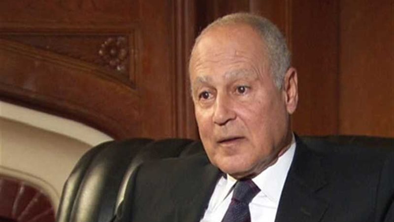 أبو الغيط يلتقي وزيري