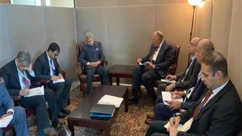 شكري يلتقي نظيره