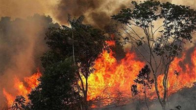 البرازيل: انخفاض حاد في حرائق غابات الأمازون خلال سبتمبر الماضي