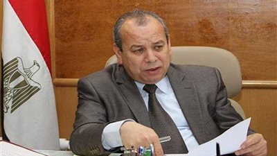 ضبط 450 كيلو أسماك بوري غير صالحة بـ