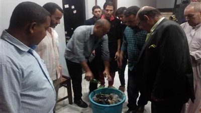 صحة الشرقية: غلق منشأتين غذائيتين بأبو كبير