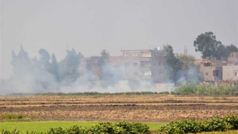 محافظ الدقهلية: محاضر