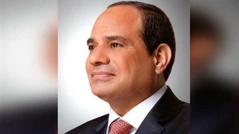 رئيس قضايا الدولة