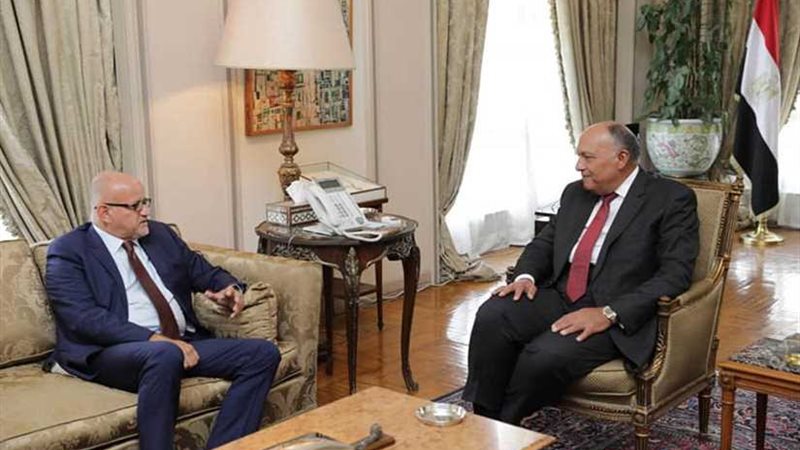 وزير الخارجية يجري