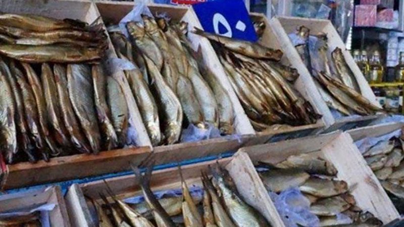 محافظ كفرالشيخ: ضبط