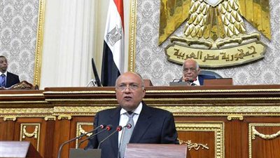 وزير الخارجية: استمرار إثيوبيا في ملء سد النهضة دون اتفاق يهدد الاستقرار بالمنطقة