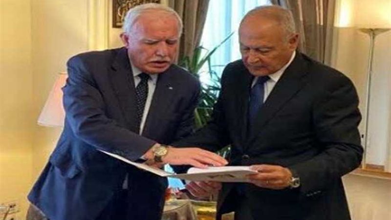 أبو الغيط يتسلم من