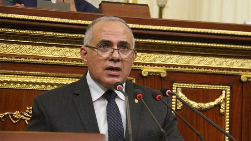 عبدالعاطي: مصر ليست