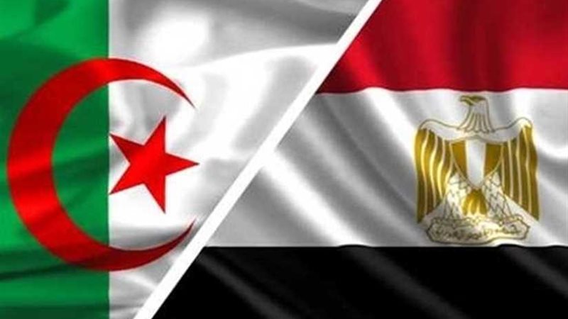 التمثيل التجاري: