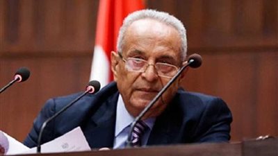 حزب الوفد يدين الهجمات التركية ضد سوريا