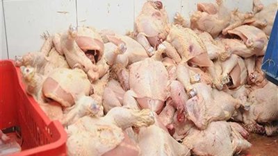 القليوبية: ضبط كميات من اللحوم والدواجن الفاسدة بحملات مكبرة