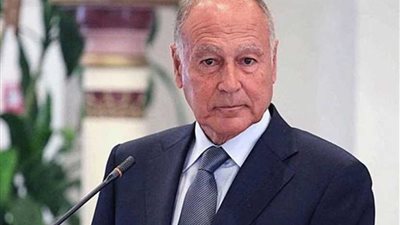 أبو الغيط : هناك حاجة لاجتماع يخصص لبحث عودة سوريا للجامعة العربية