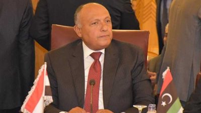 شكري يطالب جميع السوريين بمقاومة العدوان التركي فالتاريخ لن يرحم المتخاذلين