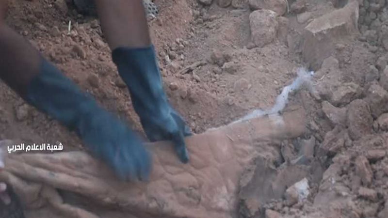 بالفيديو.. مقبرة