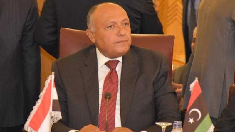 شكري يطالب جميع السوريين