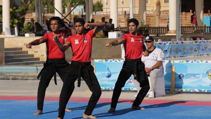 مصر تحصد ١٤ ميدالية