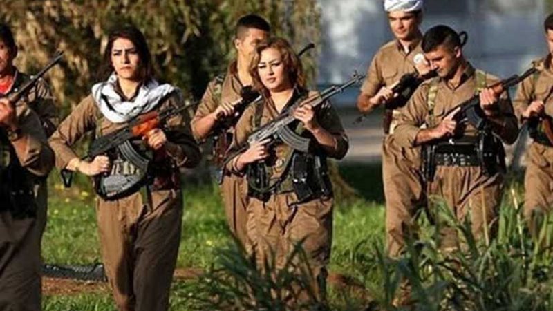 الجمال المحارب ينسف