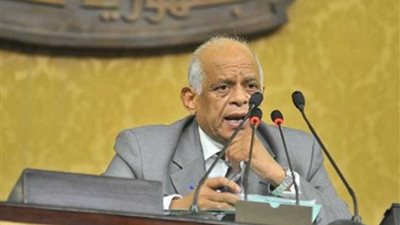 رئيس النواب: القضية الفلسطينية دليل دامغ على ازدواجية معايير تطبيق القانون الدولي