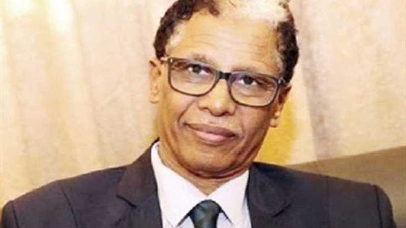 وزير الطاقة السوداني