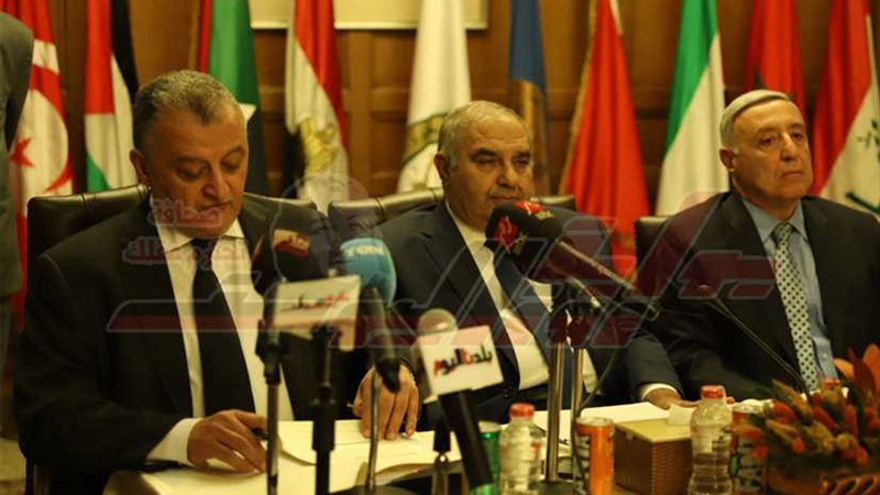 الدستورية العليا