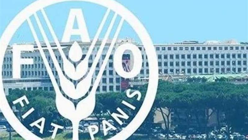 الفاو تحذر : 14%