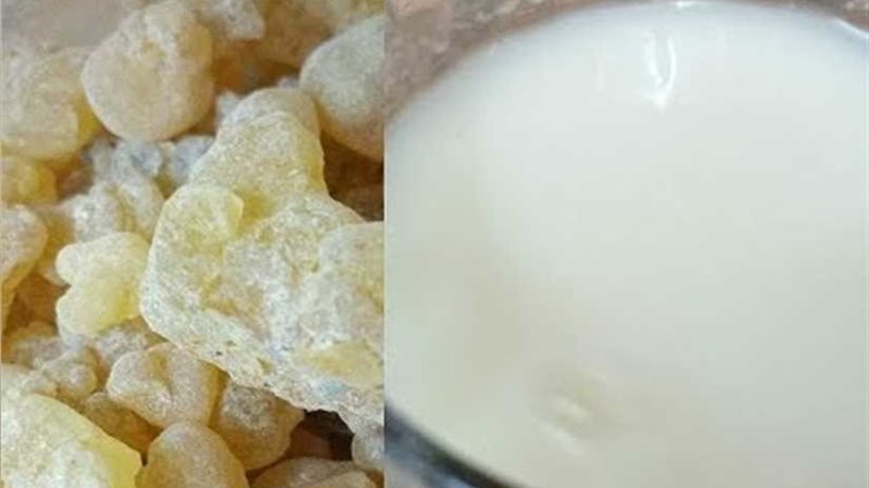 كريم لبان الدكر لتفتيح