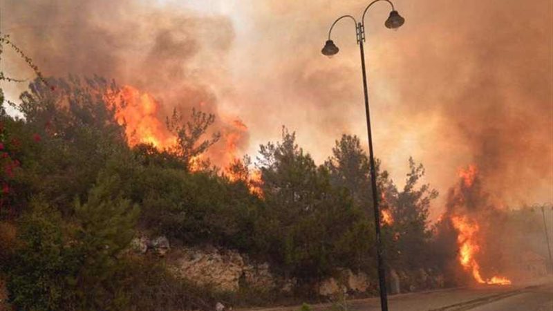 عشرات الحرائق تجتاح