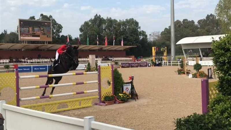 بعد 60 عاما.. فرسان