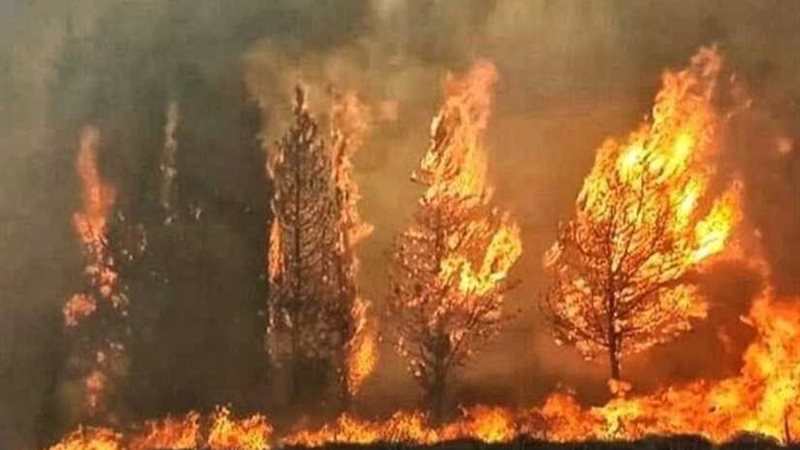 تراجع حدة الحرائق