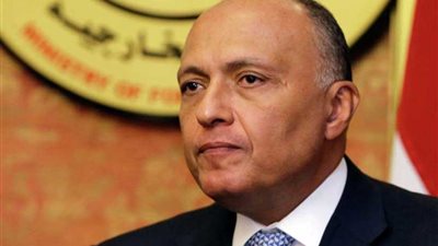 شكري يبحث مع نظيره الليتواني العلاقات الثنائية والقضايا الإقليمية