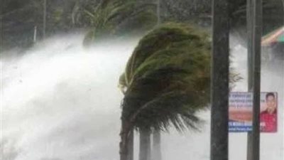 ارتفاع حصيلة ضحايا إعصار 