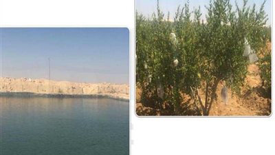 مشروعات لتنمية المناطق البدوية والتنمية المتكاملة في شمال سيناء