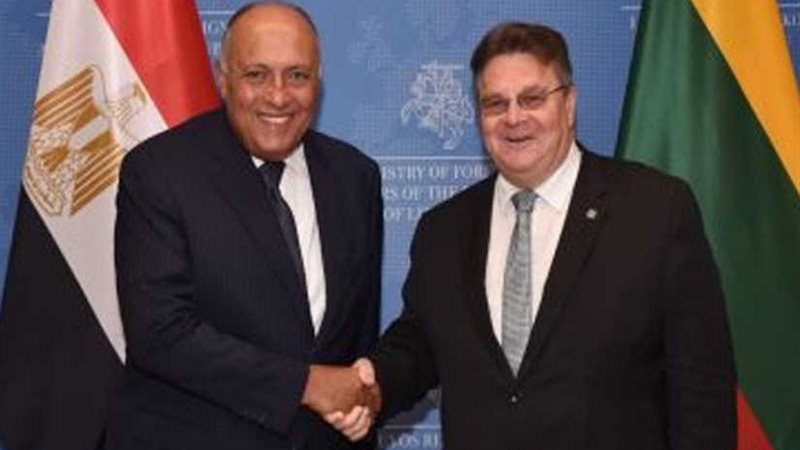 وزير خارجية ليتوانيا: