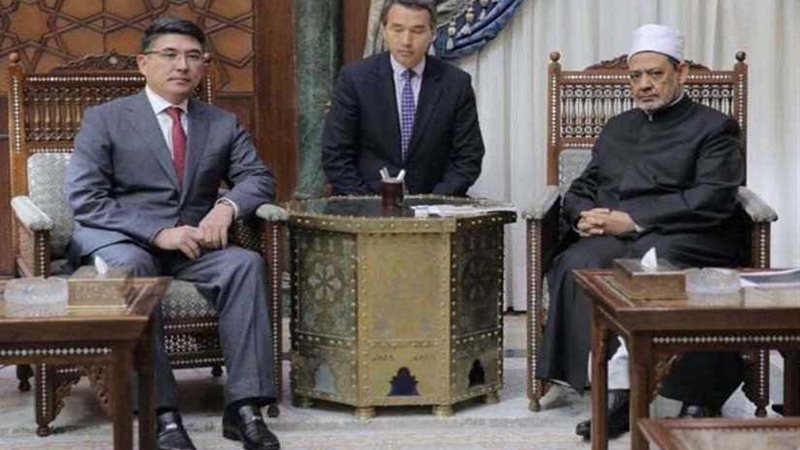 نشرة 24.. الإمام