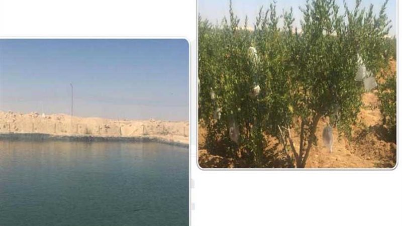 مشروعات لتنمية المناطق