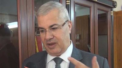 المستشار سالمان: ضمانات وجود القضاء الدستوري يحفظ علو الدستور وسموه