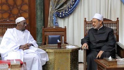 الإمام الأكبر: الأزهر حريص على تعزيز التعاون مع دول القارة الأفريقية
