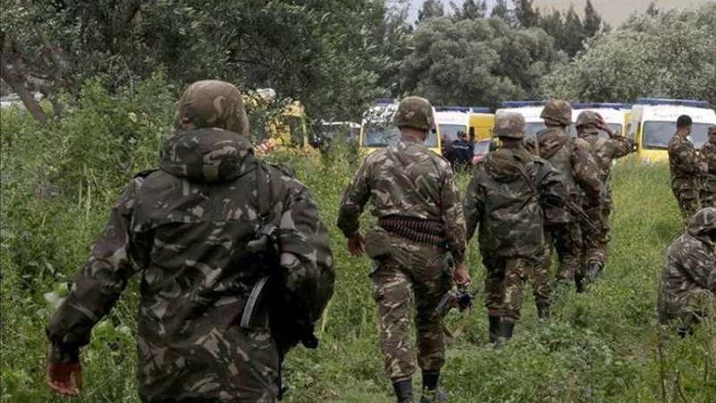 الجيش الجزائري يدمر