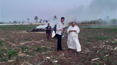 محافظ أسيوط: تعظيم الاستفادة من المخلفات الزراعية وتحويلها لسماد وعلف