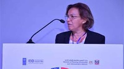 الأمم المتحدة: الحكومة المصرية تبذل جهودا متميزة لتطبيق أهداف التنمية المستدامة