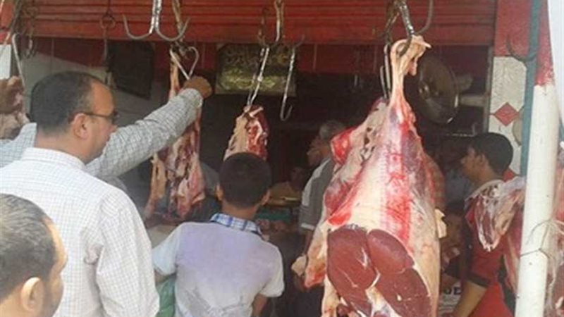 حملات مكبرة للطب