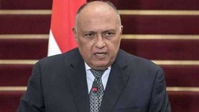 شكري يؤكد دعم مصر لدور الأمم المتحدة في مواجهة التحديات العالمية