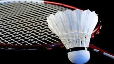 اليوم.. عمومية الريشة الطائرة