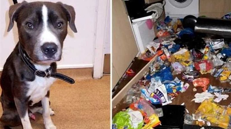 السجن 15 عامًا لامرأة