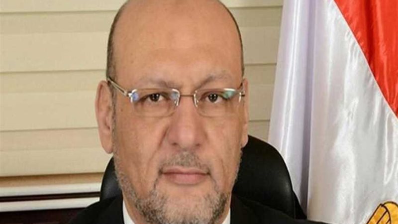 رئيس حزب المصريين: