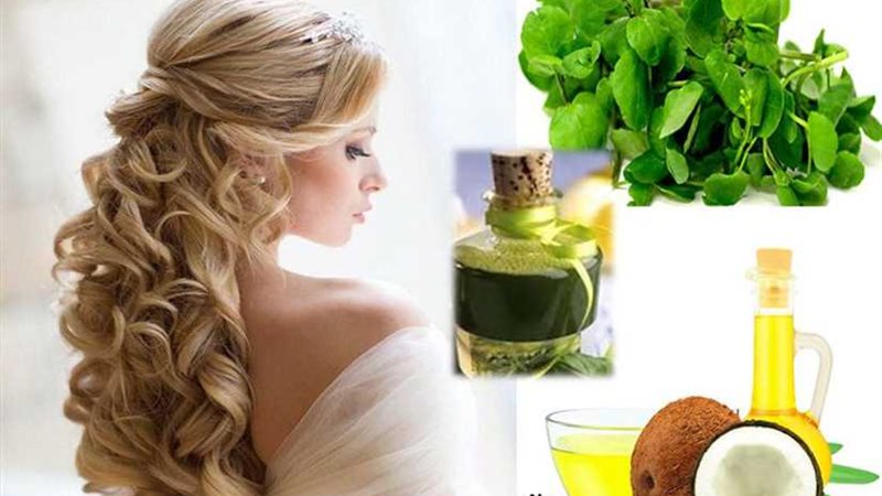 اسبراي الجرجير لتطويل